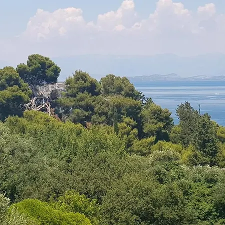 Mon Repos Panorama